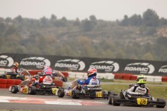 MG_4946-2